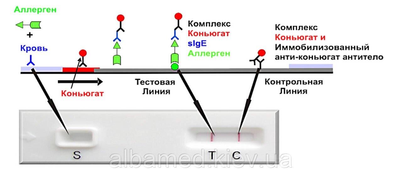 Експрес-тест для визначення алергії