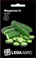 Насіння огірка Мадрілен F1, 10 шт., корнішон, самозапильний, ТМ "ЛєдаАгро"
