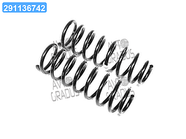 Пружина підвіски Geely Emgrand задня посилена (к-т 2 шт.) (вир-во Фобос) 1064001270