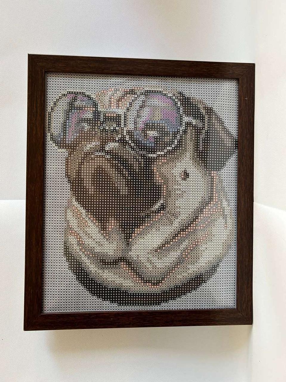 Алмазна вишивка з рамкою АВ 4071