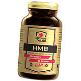 Післятренувальний комплекс Immune Labs HMB 800 mg 60 капсул, фото 3