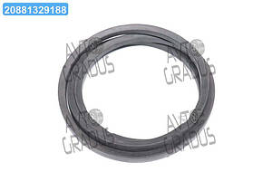 Ремінь клиновий CLAAS(Gates Agri) 0302200