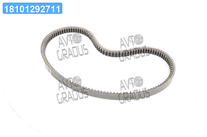 Ремінь варіаторний CNH (84817627) (OPTIBELT ) 1001135