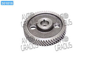 Шестерня приводу вала розподіл. Д 65, ЮМЗ 6 (вир-во Україна) Д04-005