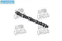 Распредвал FORD 1.3/1.4/1,6 CVH(пр-во KS) 50006259