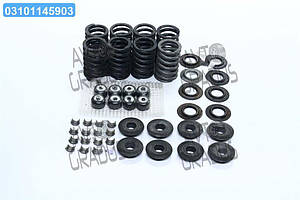 Р/к головки блоку ГАЗ 3307,53,66 (на одну головку СТАРОГО ЗРАЗКУ, 5 найменувань) 66-1003010