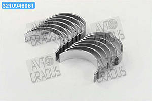 Вкладиші Еталон, ТАТА корінь R3 комплект (RIDER) RD885403742525