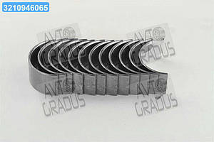 Вкладиші Еталон, ТАТА шатун R3 комплект (RIDER) RD885403662525