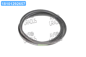 Ремінь клиновий CNH (060306.0) (OPTIBELT) 1000723