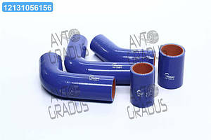 Патрубок радіатора УАЗ (дв.100 к.с.) (компл. 5 шт. силікон) (TEMPEST) TP.1333