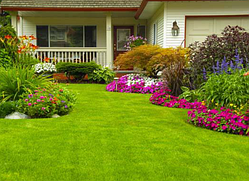 Я обрати недорогу газонокосарку для дому в Україні.