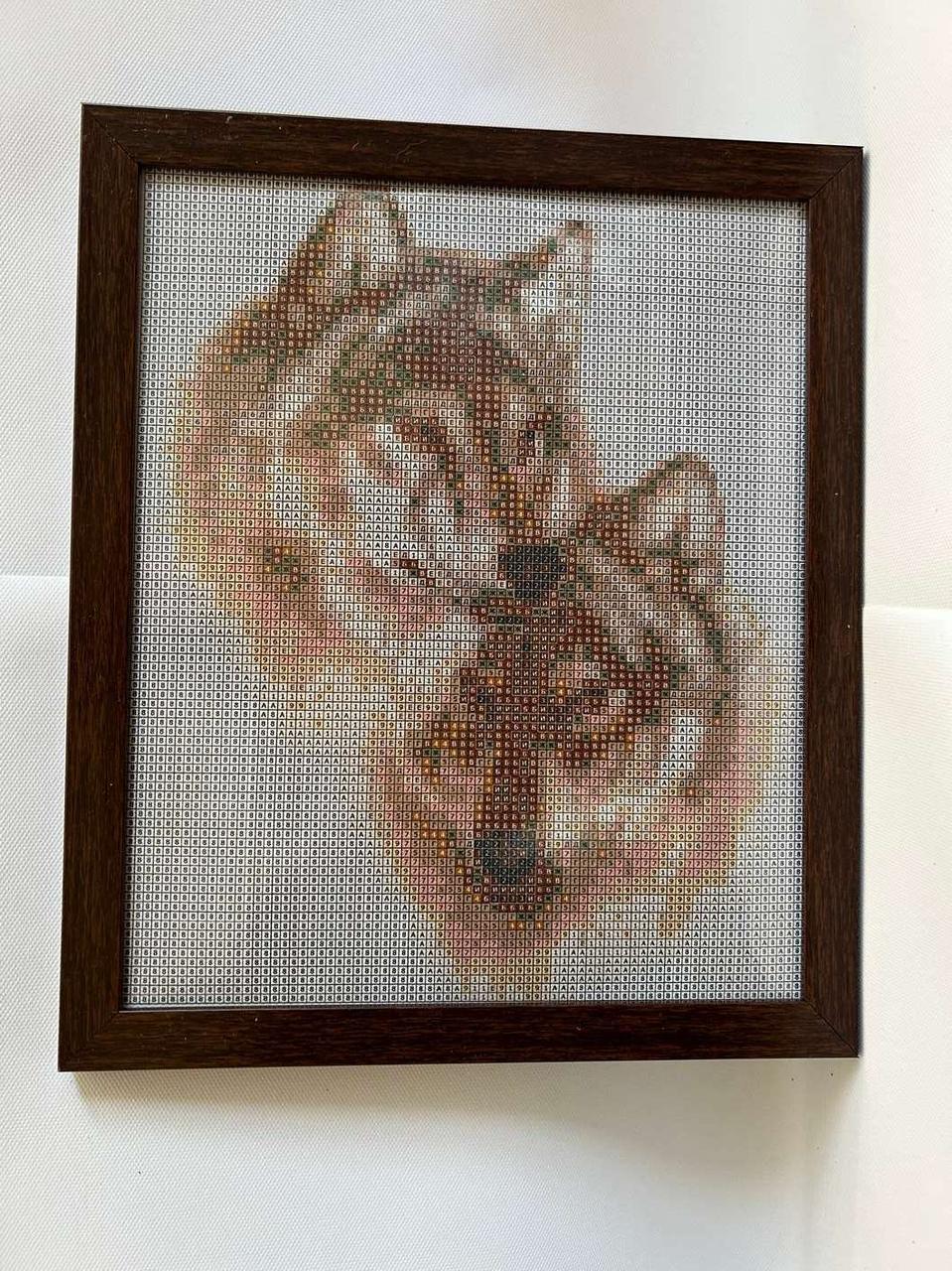 Алмазна вишивка з рамкою АВ 4039