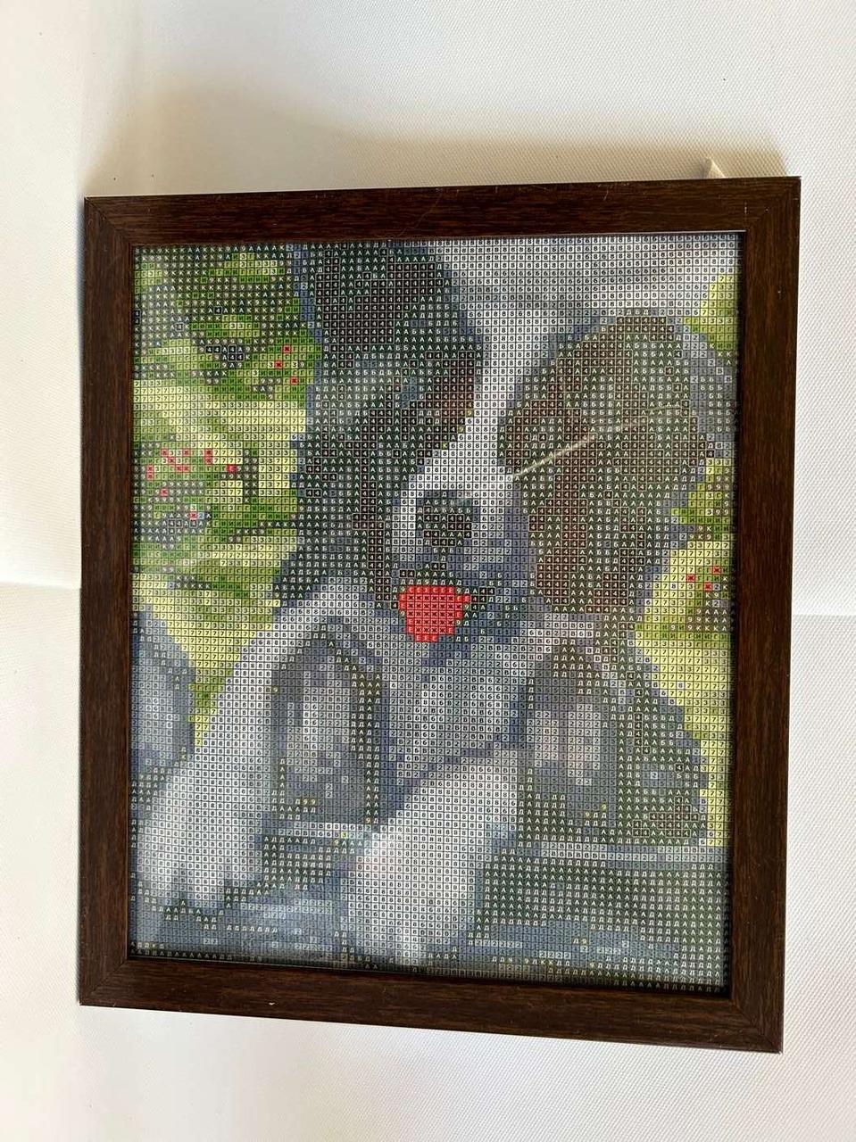 Алмазна вишивка з рамкою АВ 4038