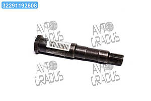 Ось вушка додаткової пружини балансира ЛАЗ 695-2903024