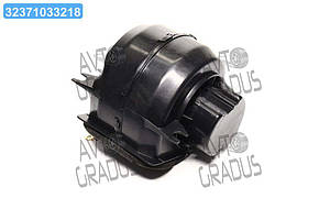 Електродвигун обігрівача каб. МАЗ 103, 104 24В (LFh 12031)  42.3780DK