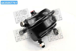 Камера гальмівна ORIGINAL Тип 24 BPW (RIDER) RD 31.12.45