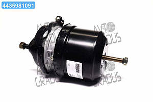 Енергоакумулятор 24/24 М22х1,5 DAF (RIDER) RD 019254