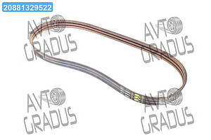 Ремінь багатострумковий ремінь CLAAS(Gates Agri) 1424219