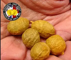Штучний Тигровий Горіх Enterprise Tackle POP UP STANDART TIGER NUTS (5шт)