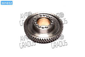 Шестерня приводу ТНВД ЮМЗ (вир-во Україна) Д04-С06 СБ