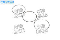 Кольца поршневые MB 97.5 (2.5/2.5/4) OM364/OM366 (1 ЦИЛ) (пр-во KOLBENSCHMIDT) 800019212000