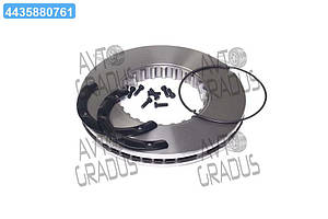 Диск гальмівний STANDARD (вентильований) RENAULT DXI, VOLVO (з монтажним к-том) (RIDER) ST 09-VO097