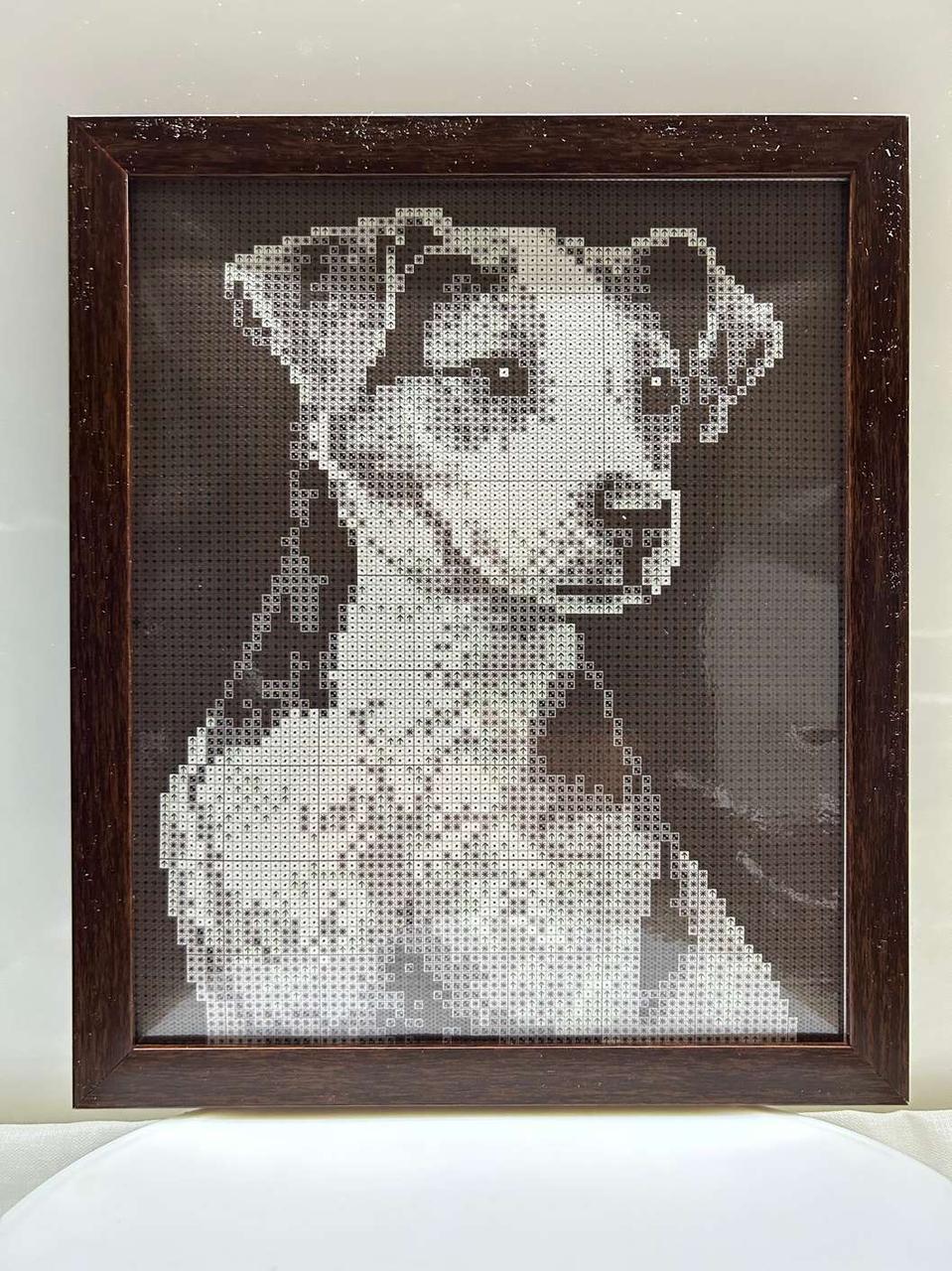 Алмазна вишивка з рамкою АВ 4009