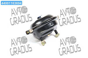 Камера гальмівна PREMIUM Тип 24 BPW (RIDER) RD 31.12.38PR