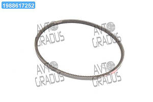 Ремінь 14х13х1180 зубч. ЯМЗ 238АК (вир-во Rubena) 14х13-1180 зуб