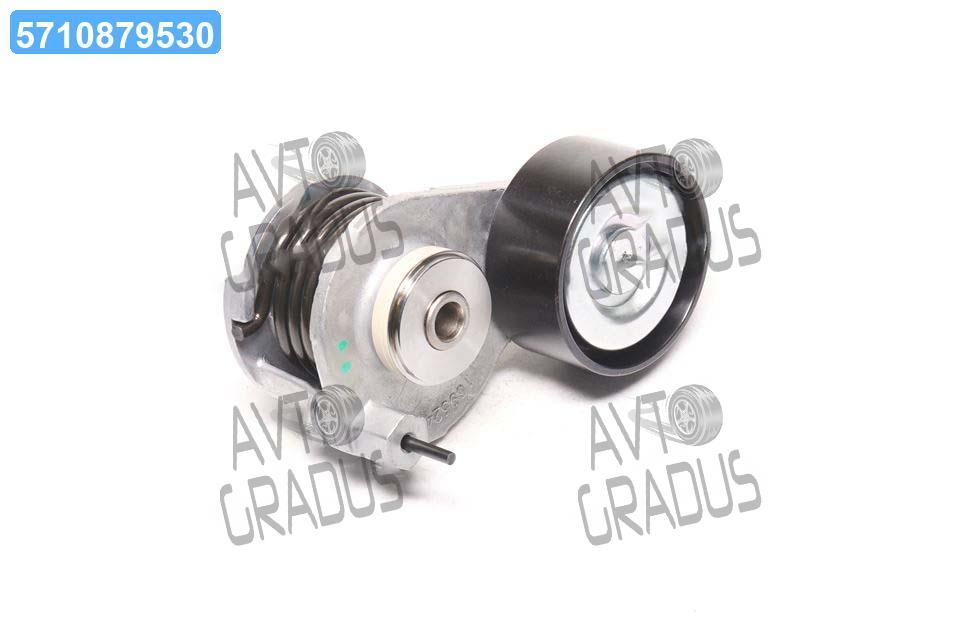 Ролик ременя приводного (вир-во DAYCO) APV2813