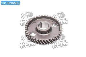 Шестерня р/валу, Z = 40  240-1006214-А1