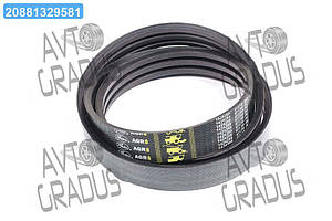 Ремінь багатострумковий ремінь CLAAS(Gates Agri) 1424259