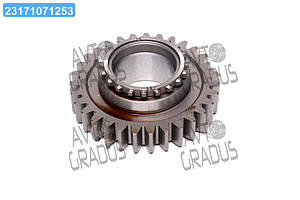 Шестерня валу первинного (Z=31) КПП МТЗ 1221, 1523 (RIDER) 1522С-1701054