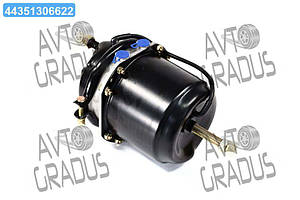 Енергоакумулятор 24/24 мембран поршень дискові гальма M 22x1.5 (RIDER) RD 98.58.39