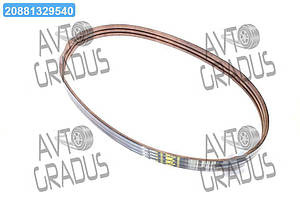 Ремінь багатострумковий ремінь CLAAS Lexion (Gates Agri) 1424218