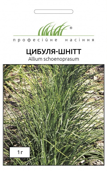 Насіння Шнітт-луку на перо 1 г — ранній (15-20 дн), всесезонний, холодостійкий, Професійне насіння