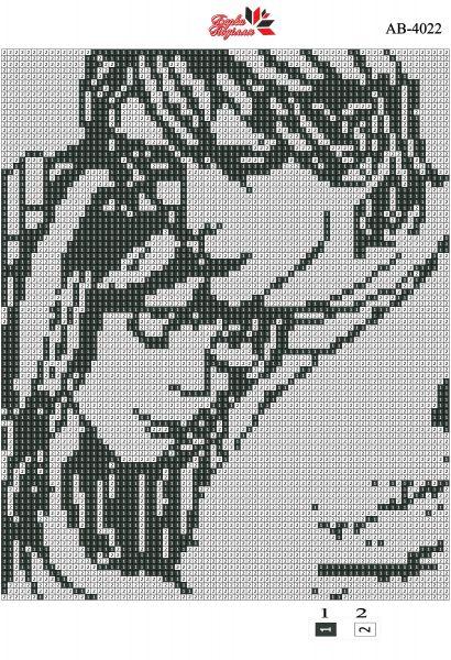 Алмазна вишивка з рамкою АВ 4022