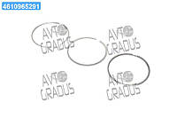 Кольца поршневые MB 97.0 (2.5/2.5/4) OM314/OM352 (1 ЦИЛ) (пр-во KOLBENSCHMIDT) 800019111000