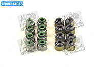 Сальник клапана IN/EX (компл.) HONDA F18B2/F20A/K20A/N22A1/N22A2/F20Z1 (8PCS+8PCS) (пр-во Elring) 084.300