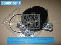 Насос водяной Toyota Avensis 08-18 Auris Corolla RAV4 Yaris (пр-во Toyota) 1610039466