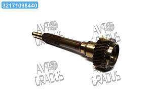 Вал КПП первинний MXXA5R ISUZU, Богдан Е1, 21 шліц (RIDER) RD8971689800