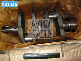 Вал колінчастий Т-16, 25 з дв. Д-21 (болт М14) (вир-во JOBs, Індія) Д21-1005011В2