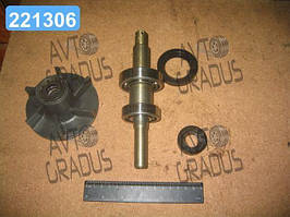 Р/к насоса водяного СМД-14 (вир-во України) СМД-14-1307000