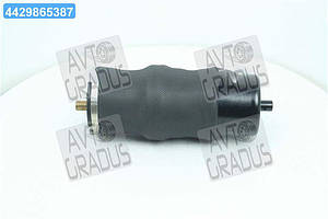 Пневморесора кабіни RENAULT (RIDER) RD 71052