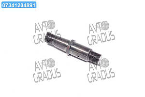 Палець опорний КрАЗ 260-3409192-10