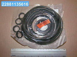 Р/к двигуна СМД 18 .. 22  ( РТВ) ( 5 наймен.) (вир-во Рось-гума) Р/К-3607