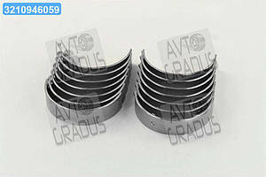 Вкладиші Еталон, ТАТА корінь R1 комплект (RIDER) RD885403722525