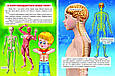 Енциклопедія для чомучок. Книга 1, фото 2