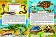 Енциклопедія для чомучок. Книга 1, фото 4