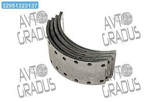 Накладка гальмівна ISUZU, Богдан STD 10мм (свердл. із закл.) Преміум (RIDER) RD-8971895270-STD